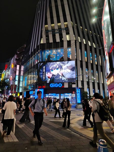 Akihabara brain rot